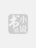 大唐忍者秘史